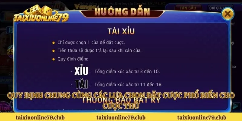Quy định chung cùng các lựa chọn đặt cược phổ biến cho cược thủ