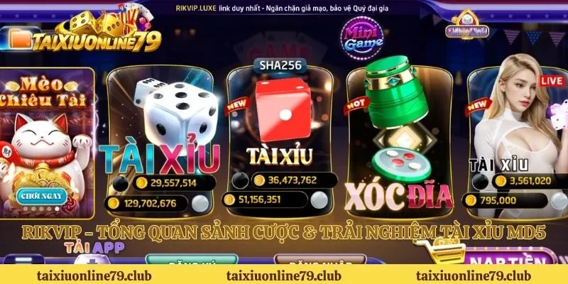 Rikvip - Tổng Quan Sảnh Cược & Trải Nghiệm Tài Xỉu MD5